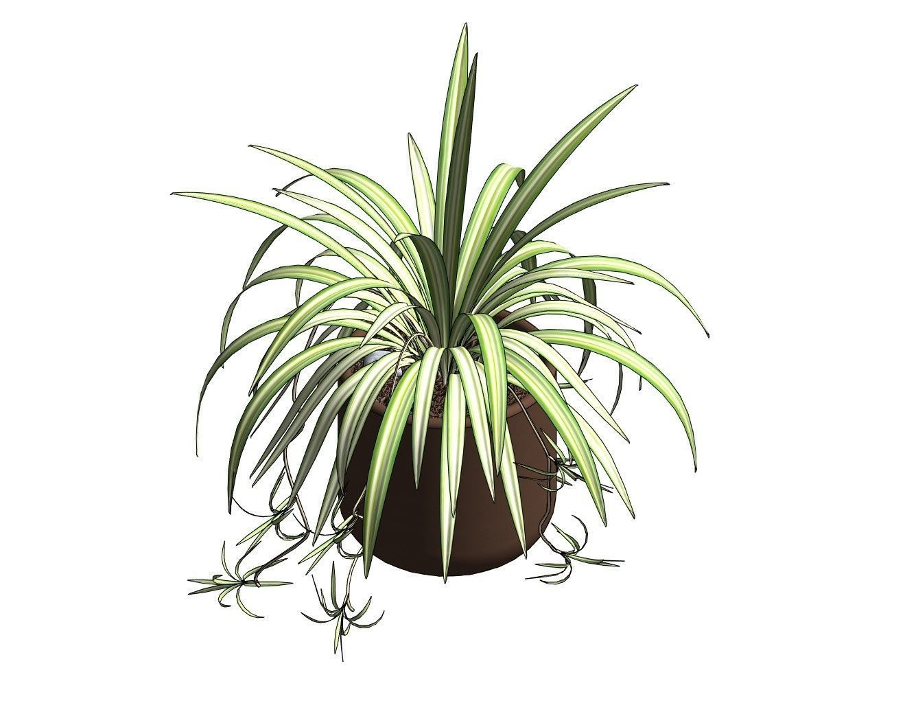 Revit Family pot plant - Three sizes- High quality 3D model 3D model_31