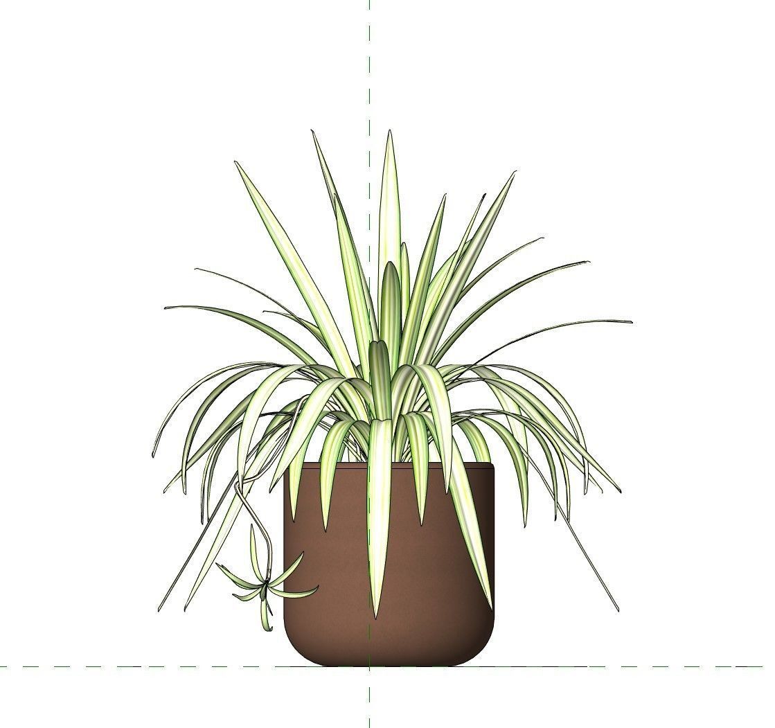 Revit Family pot plant - Three sizes- High quality 3D model 3D model_29