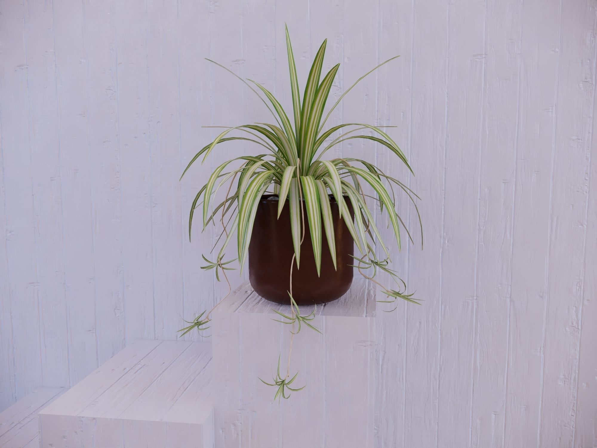 Revit Family pot plant - Three sizes- High quality 3D model 3D model_7
