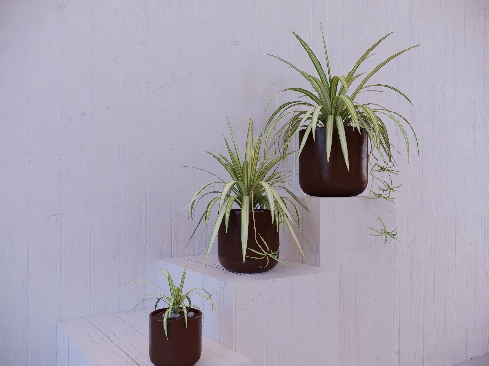 Revit Family pot plant - Three sizes- High quality 3D model 3D model_2