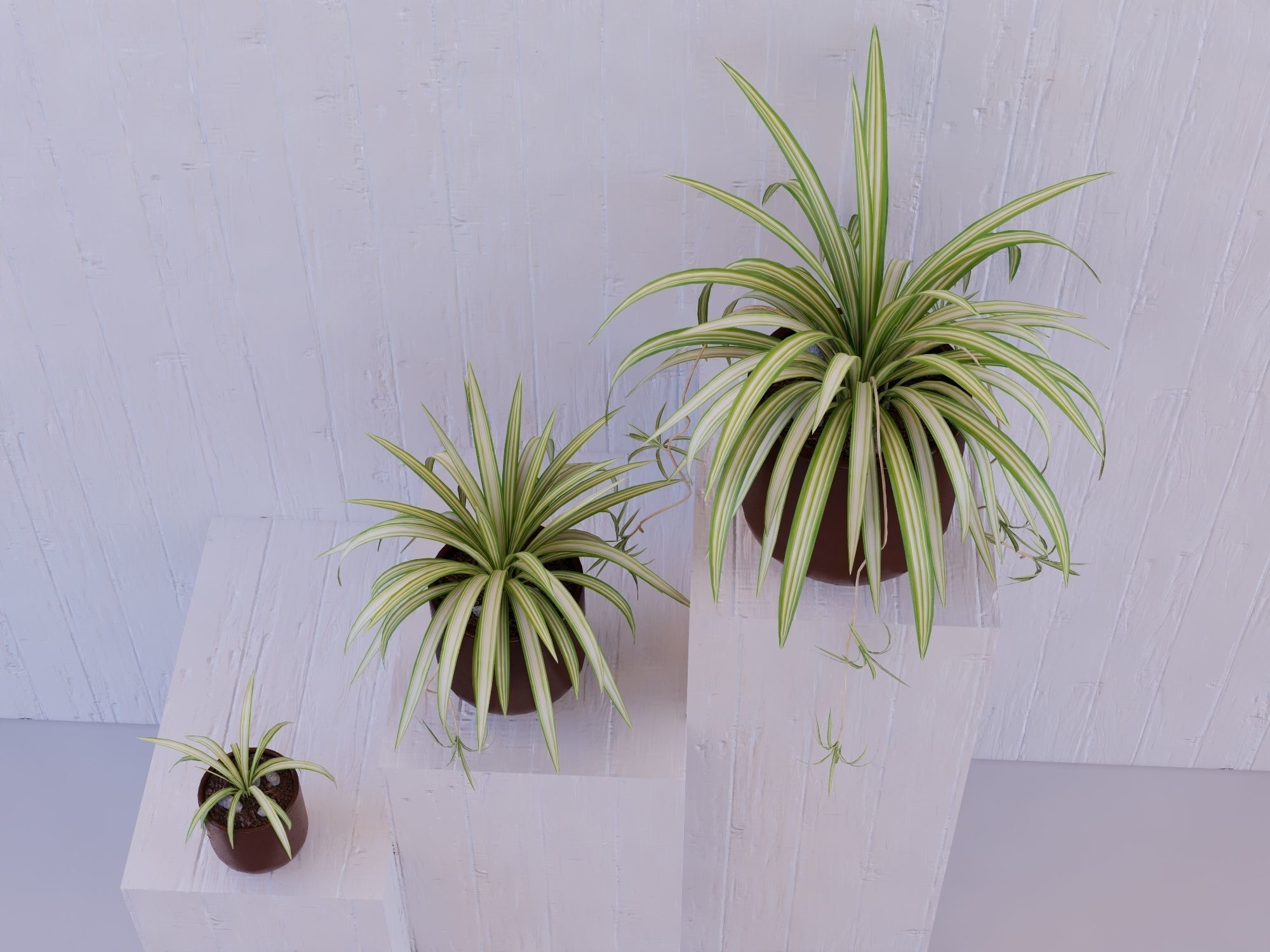 Revit Family pot plant - Three sizes- High quality 3D model 3D model_17