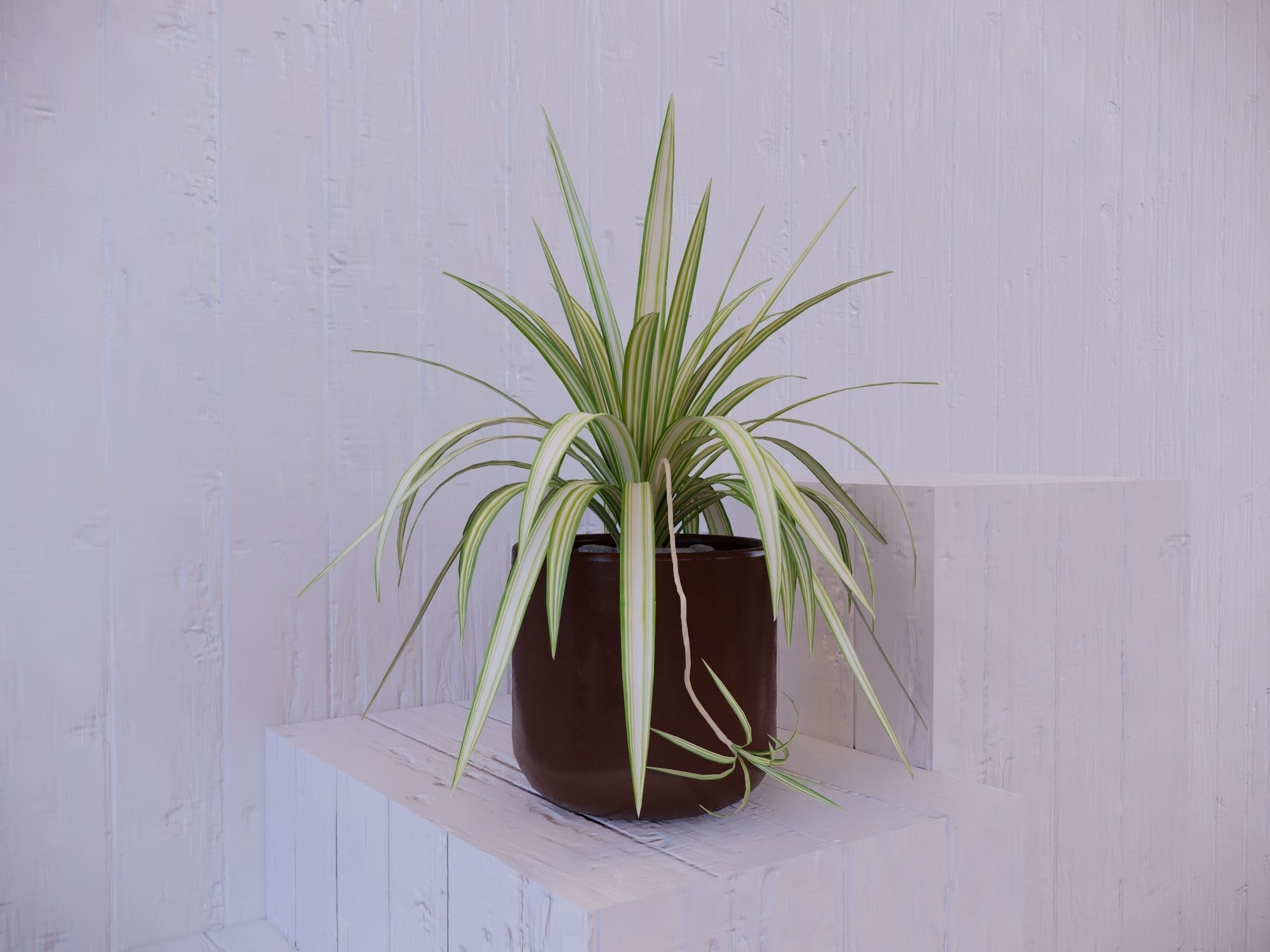 Revit Family pot plant - Three sizes- High quality 3D model 3D model_5