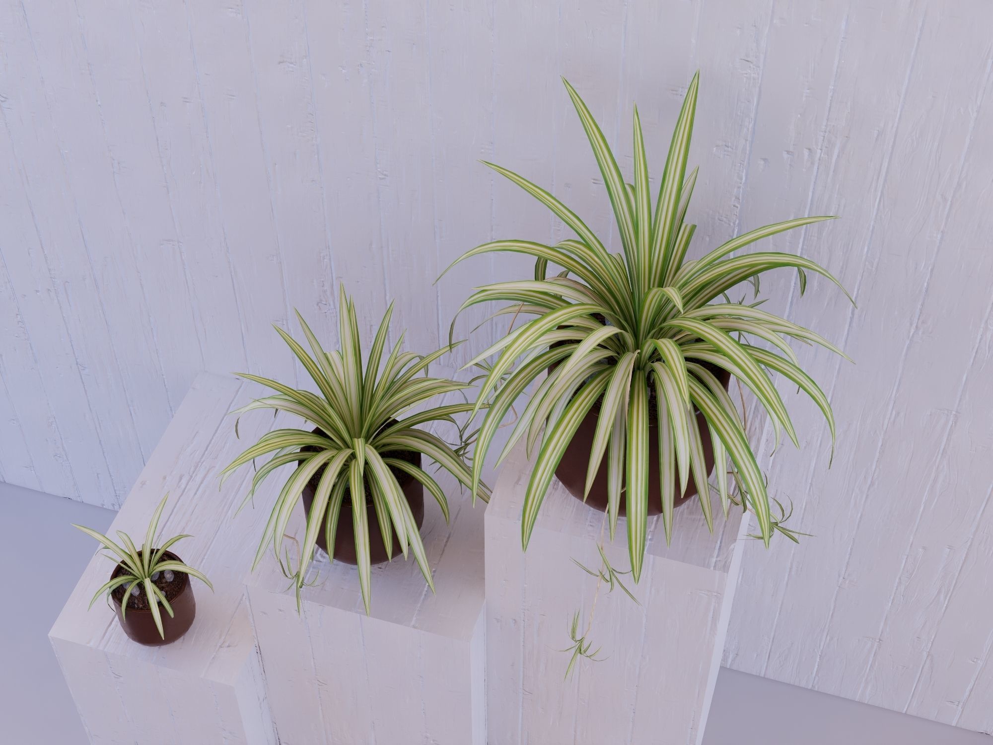 Revit Family pot plant - Three sizes- High quality 3D model 3D model_16