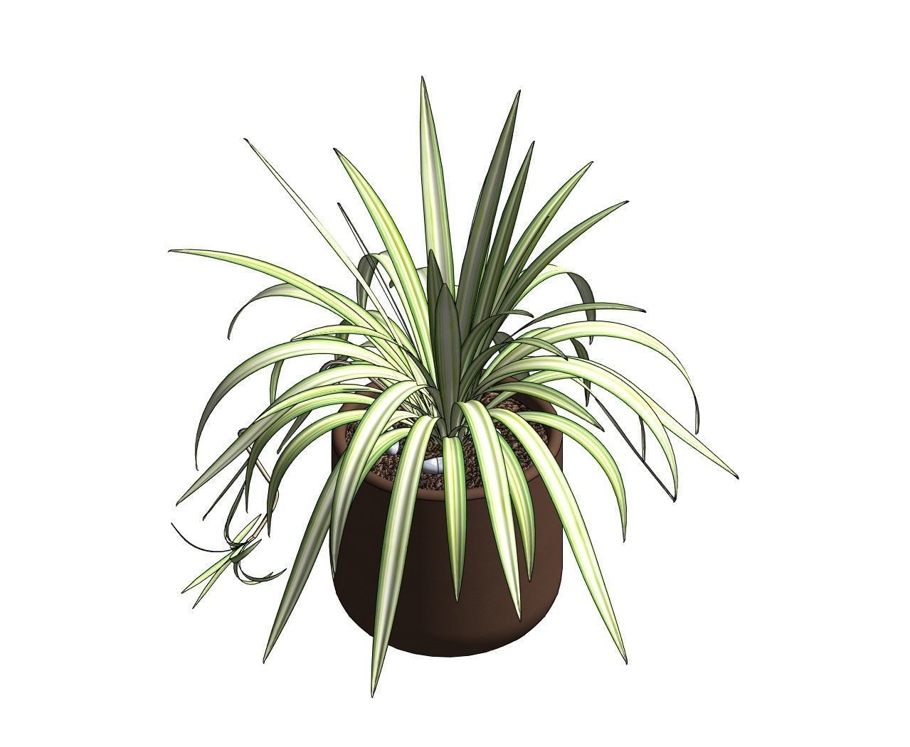 Revit Family pot plant - Three sizes- High quality 3D model 3D model_24