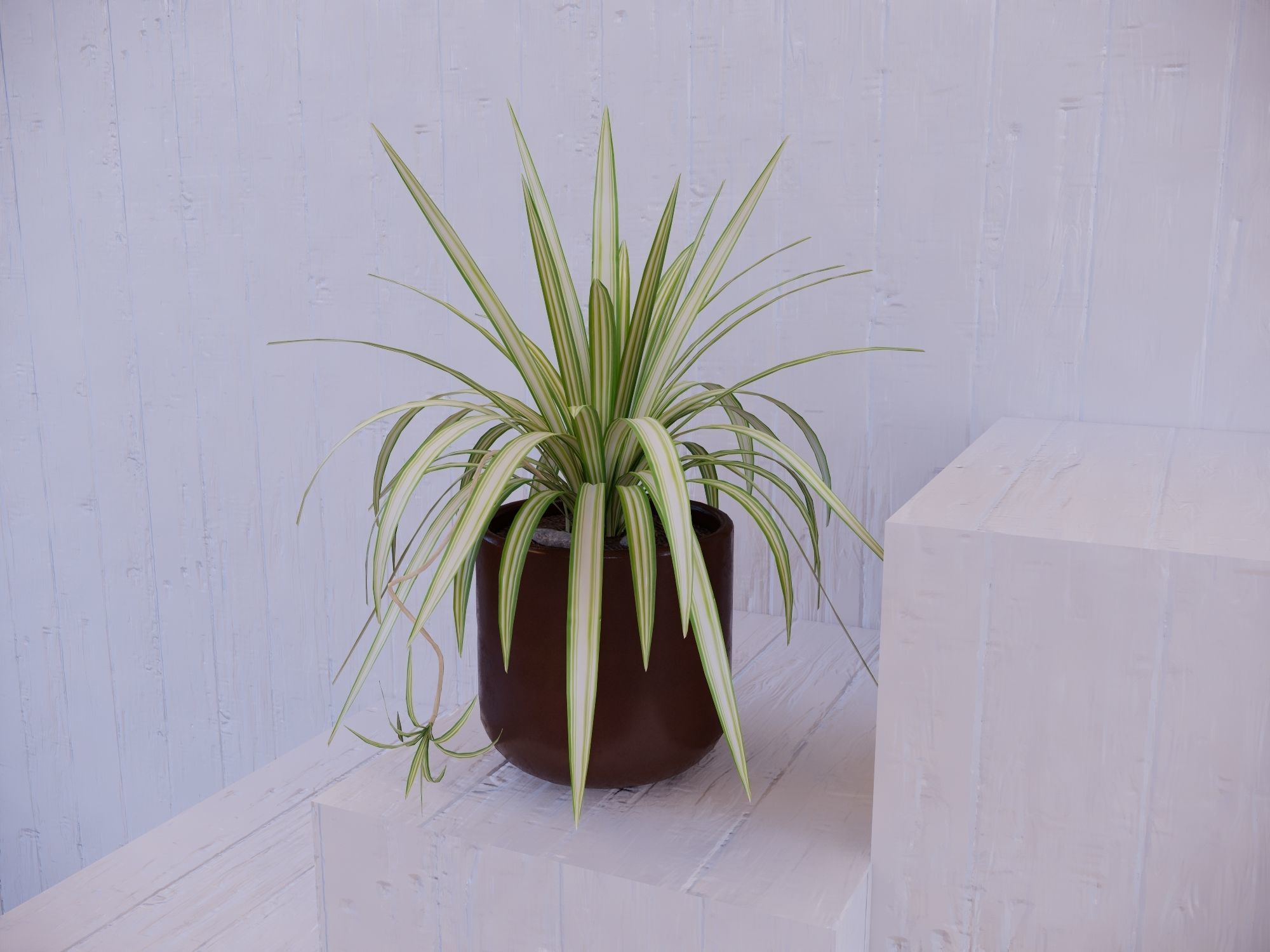 Revit Family pot plant - Three sizes- High quality 3D model 3D model_6