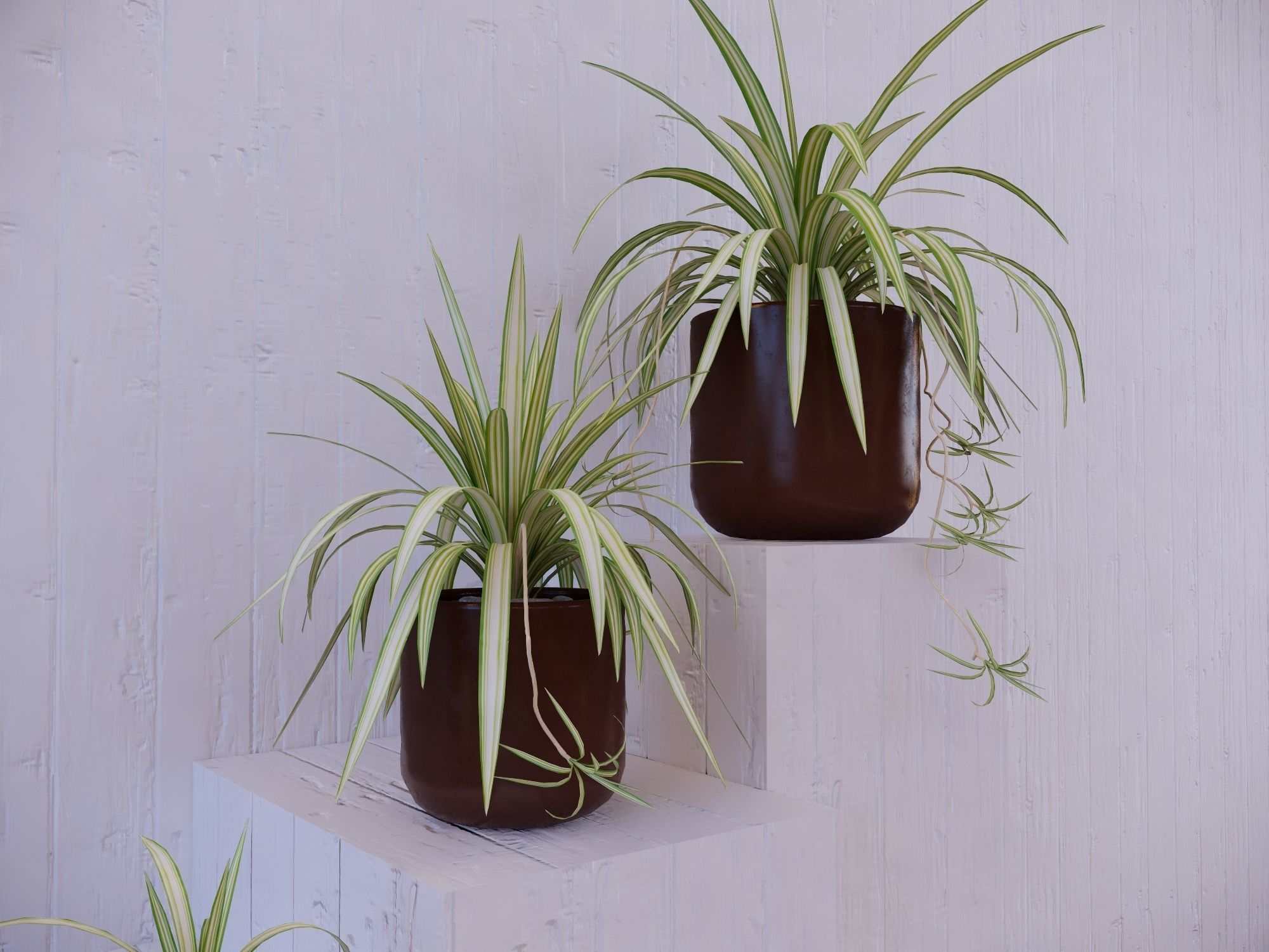 Revit Family pot plant - Three sizes- High quality 3D model 3D model_4