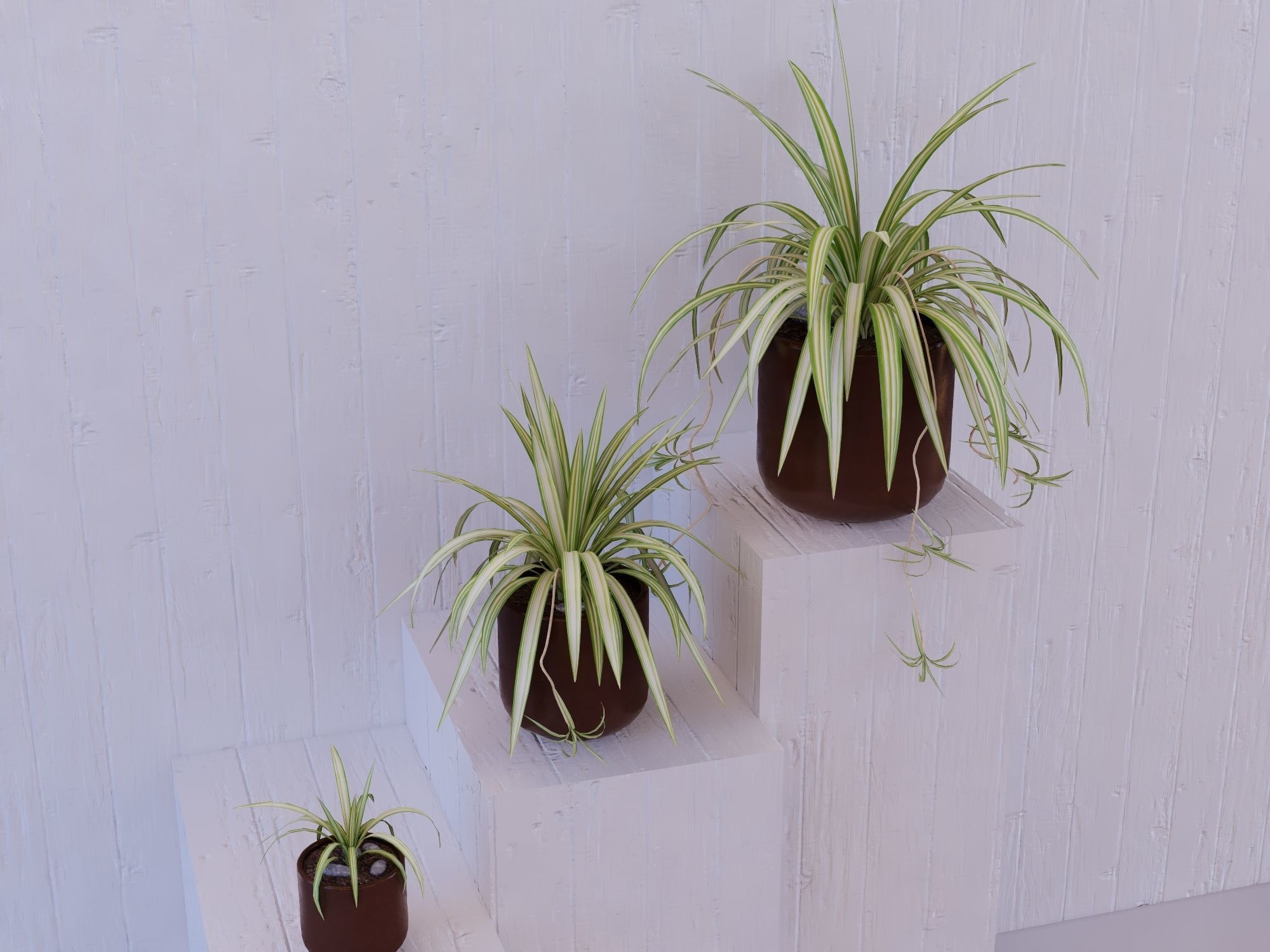 Revit Family pot plant - Three sizes- High quality 3D model 3D model_14