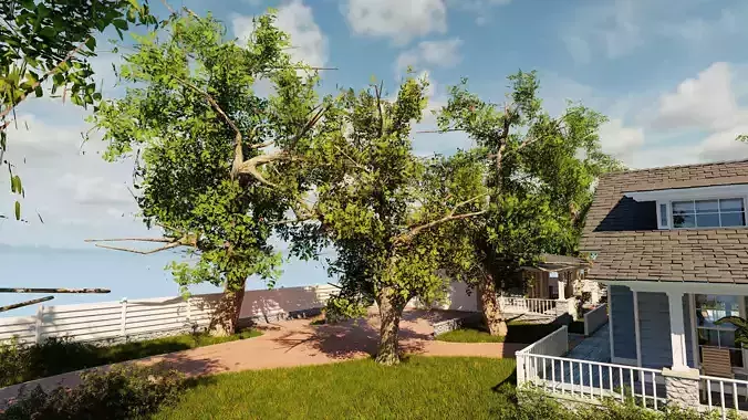 Classic style porch house grass and voliage pack