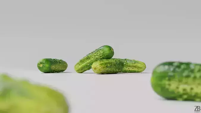 Cucumber 3D model