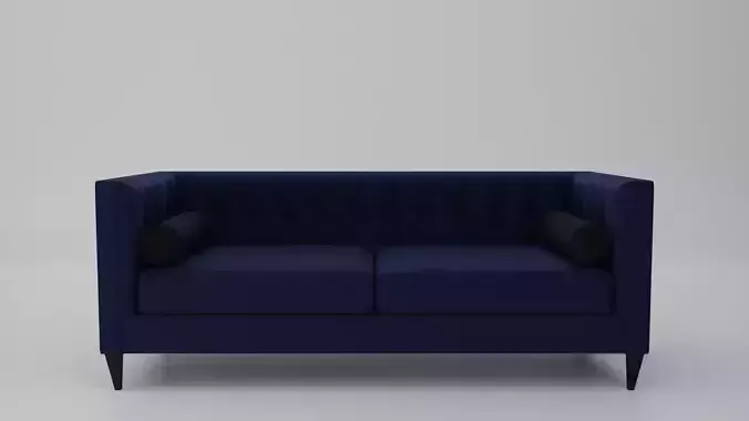 Modern sofa