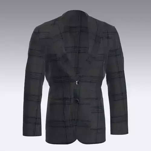 Male checks blazer