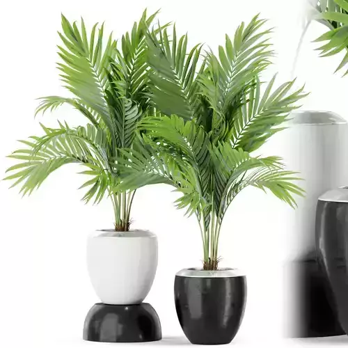 Plants collection 403 3D model