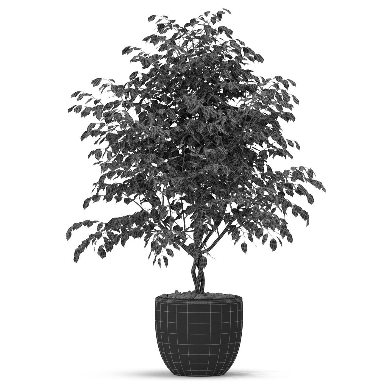 Plants collection 406 3D model_3