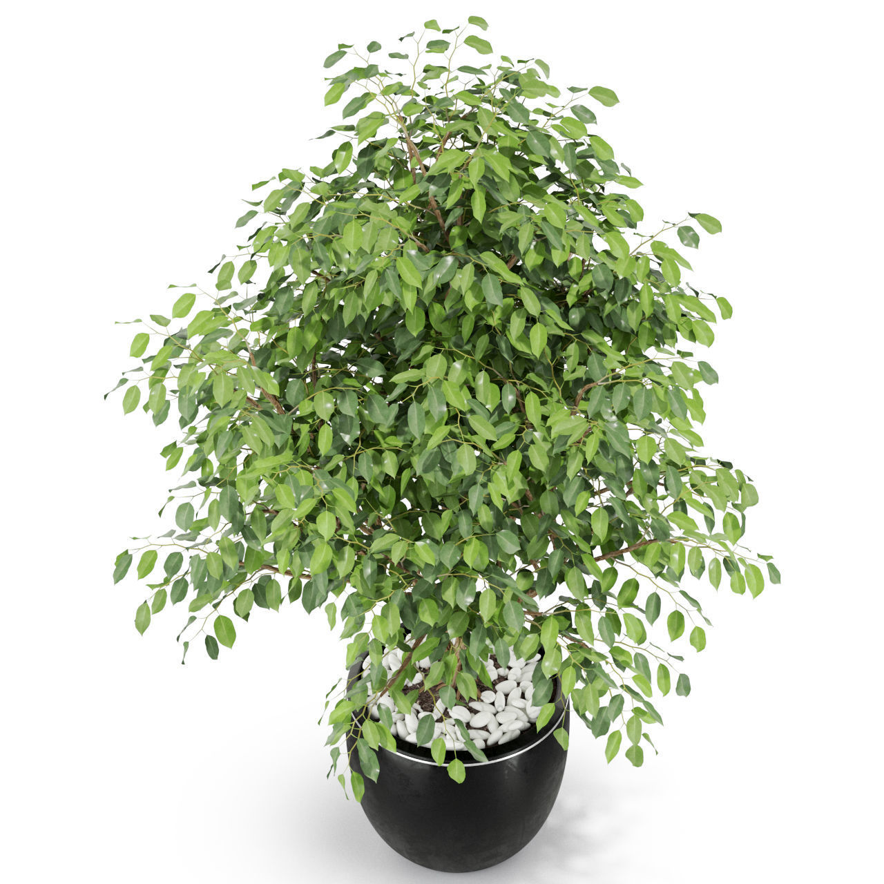 Plants collection 406 3D model_1