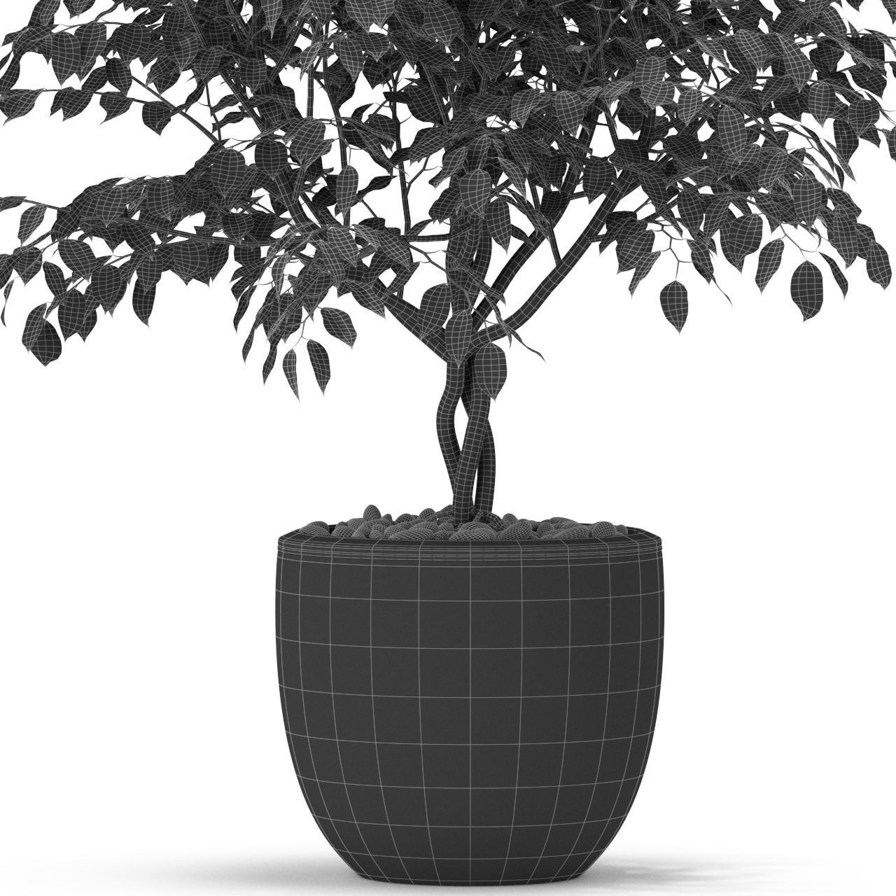 Plants collection 406 3D model_4