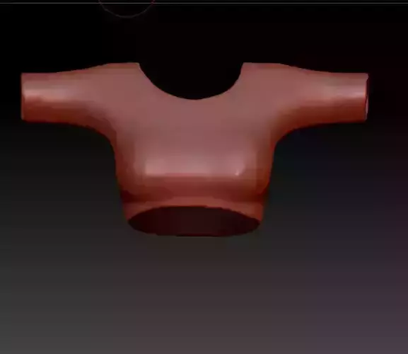 South indian Saree Model 