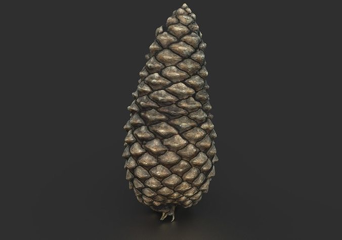 PINECONE pine cone Low-poly 3D model