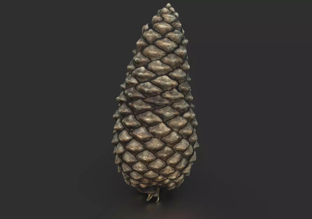 PINECONE pine cone Low-poly 3D model