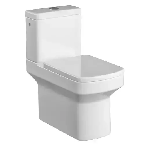 Two piece rounded rectangle shape EWC toilet Modeled in 3ds max