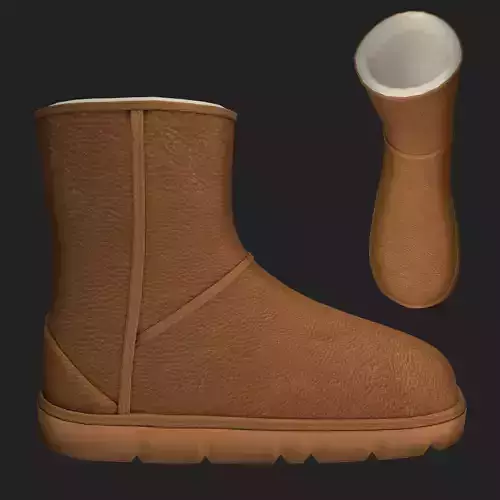 Winter boots in Caribou emu shoes  Low-poly 3D model