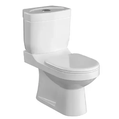 Two piece oval shape EWC toilet 3D model Modeled in 3ds max