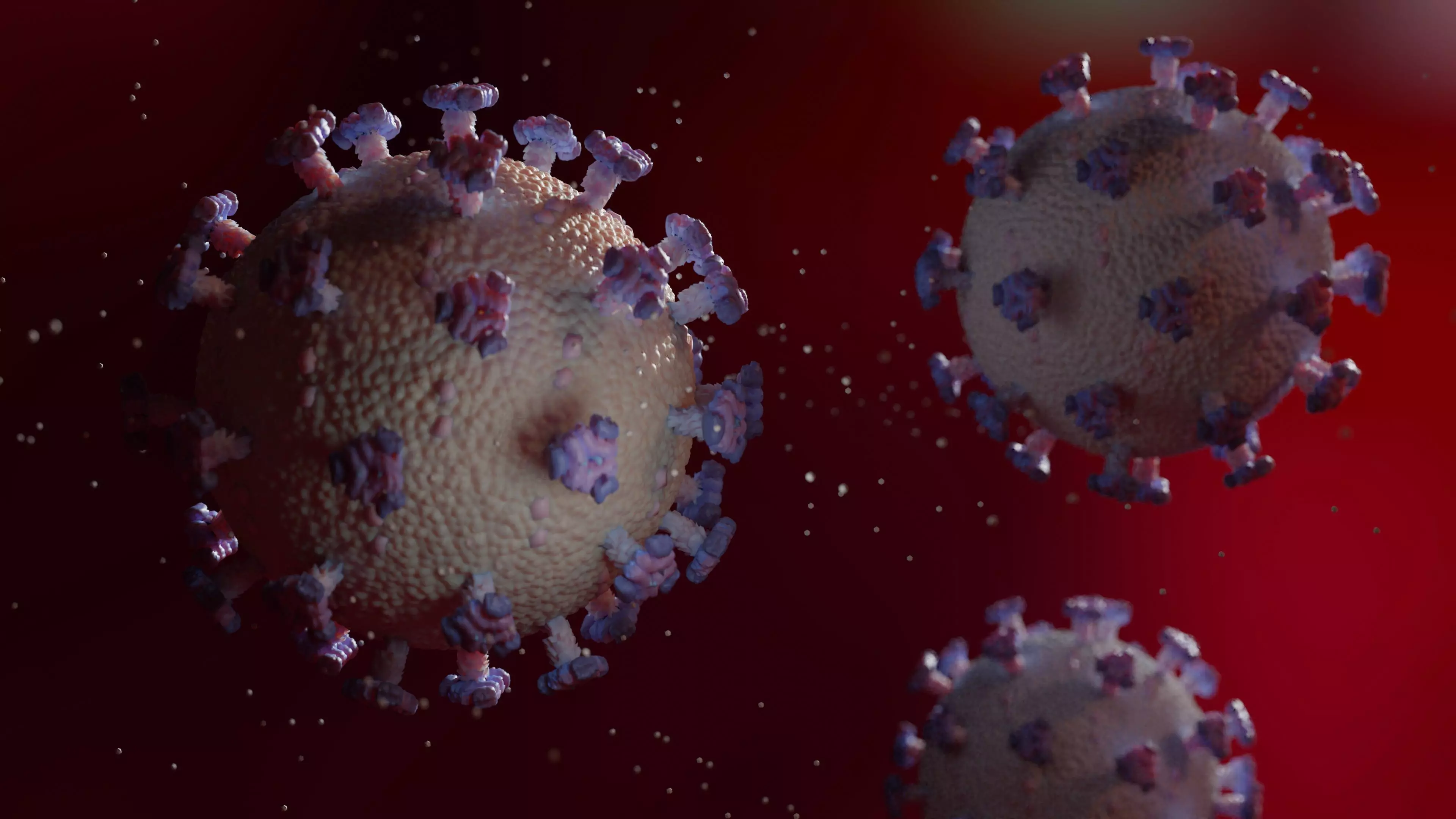 virus coronavirus 3D model_0