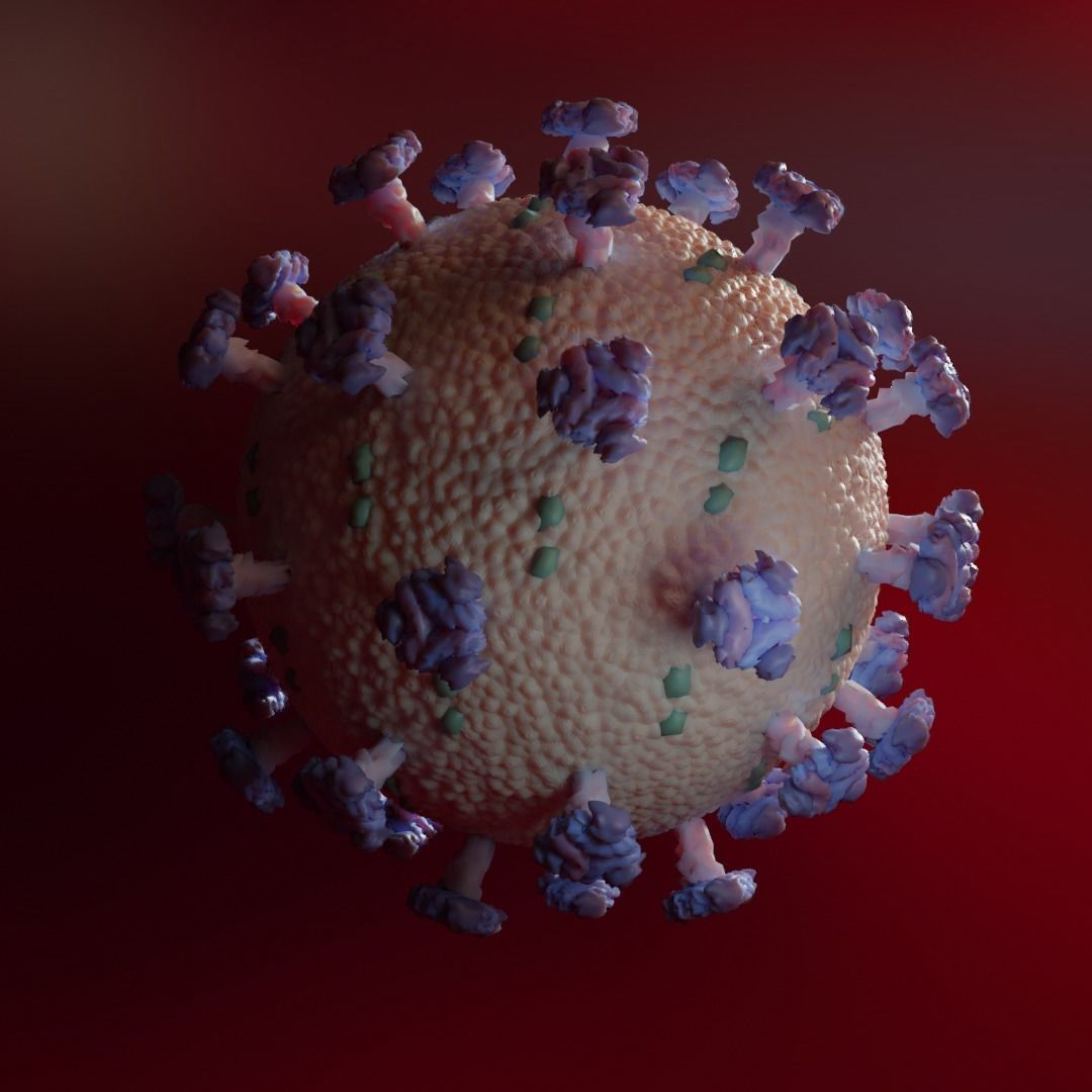 virus coronavirus 3D model_1