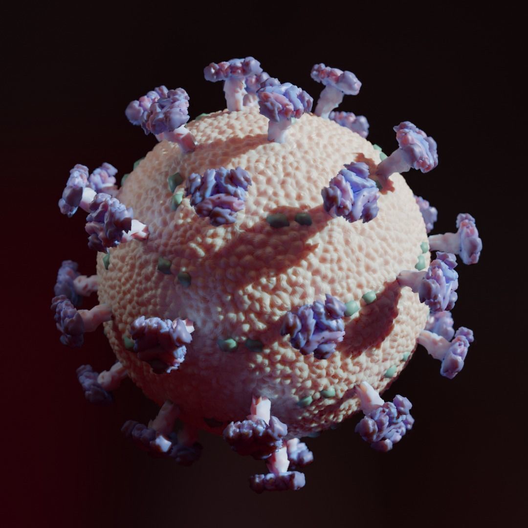 virus coronavirus 3D model_2