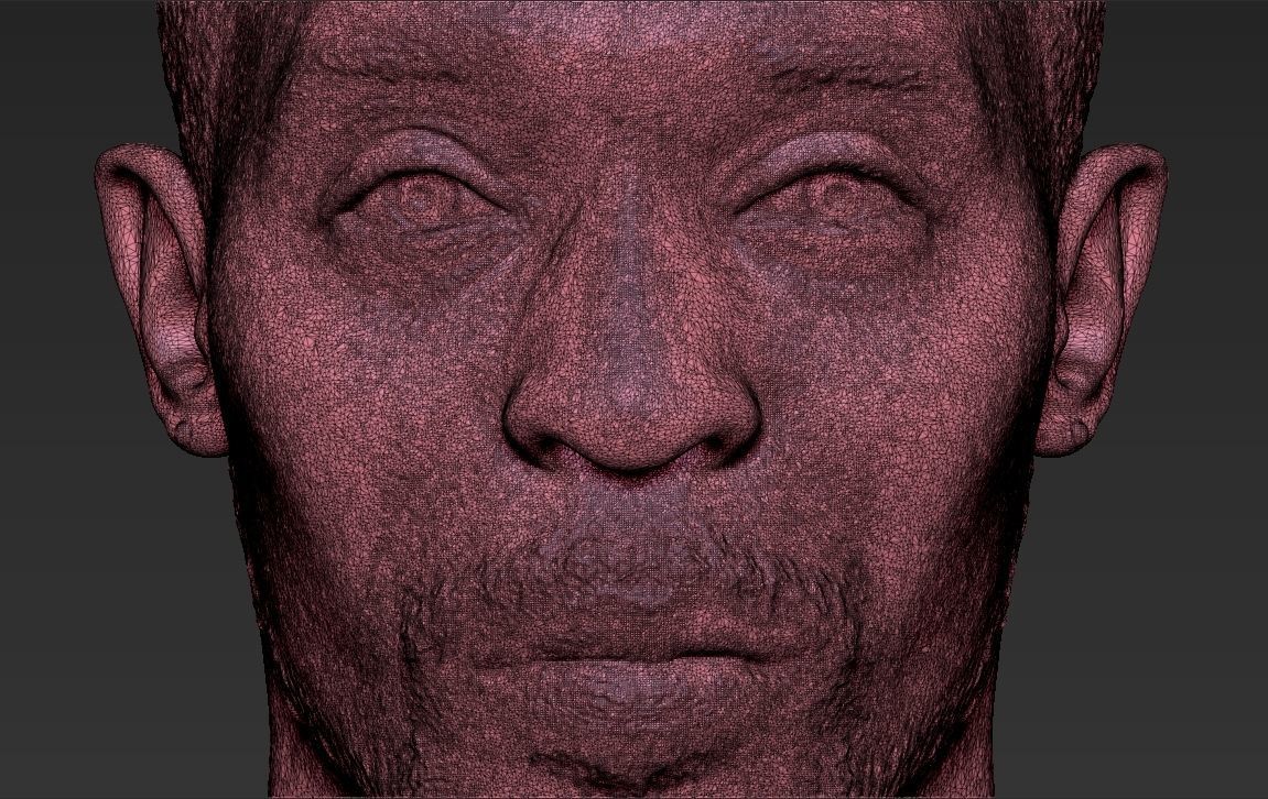 Omar Little from The Wire bust 3D printing ready stl obj formats 3D print model_30