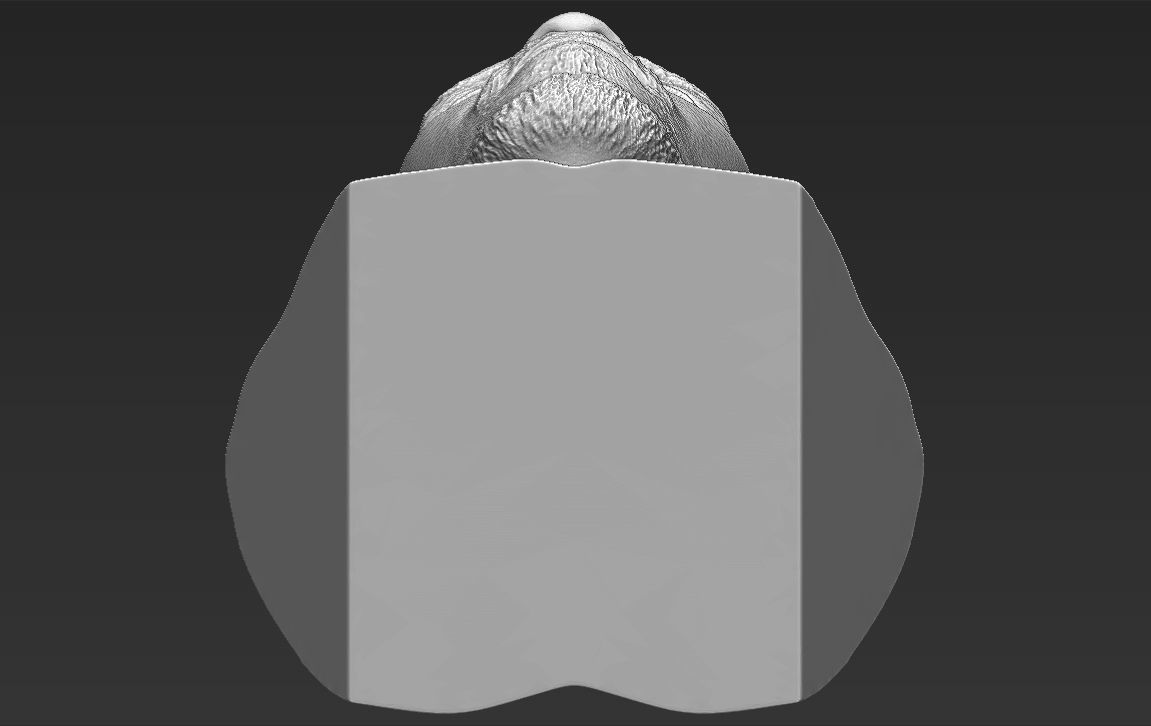 Omar Little from The Wire bust 3D printing ready stl obj formats 3D print model_27