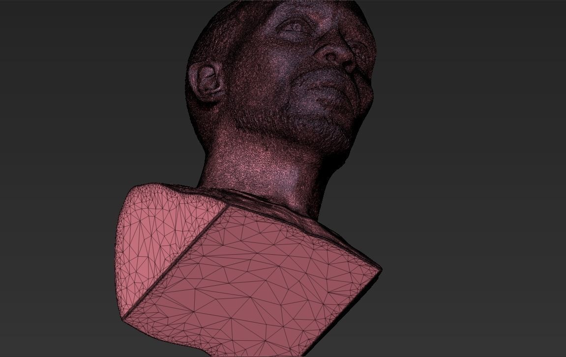 Omar Little from The Wire bust 3D printing ready stl obj formats 3D print model_31