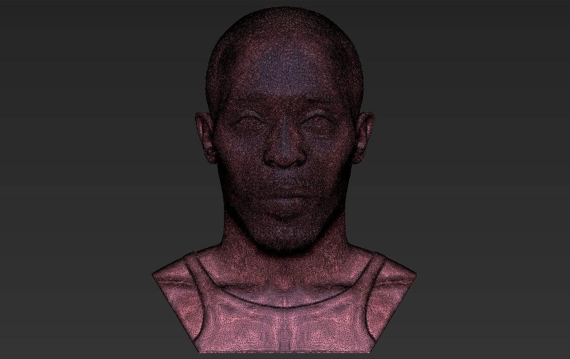 Omar Little from The Wire bust 3D printing ready stl obj formats 3D print model_28
