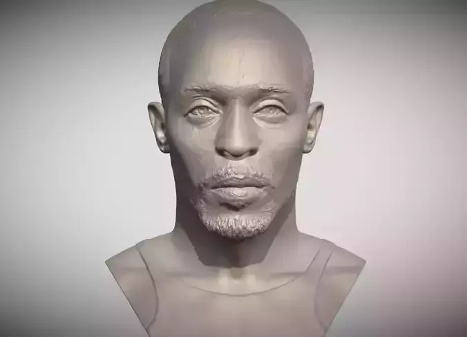 Omar Little from The Wire bust 3D printing ready stl obj formats 3D print model