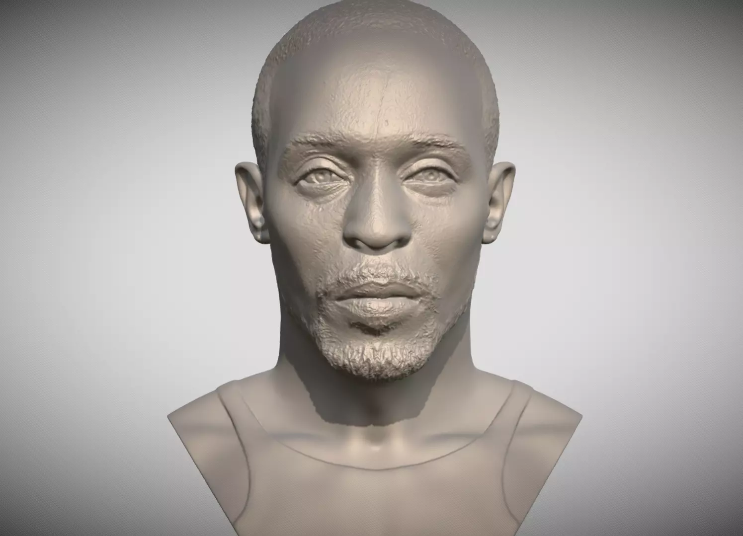 Omar Little from The Wire bust 3D printing ready stl obj formats 3D print model_0