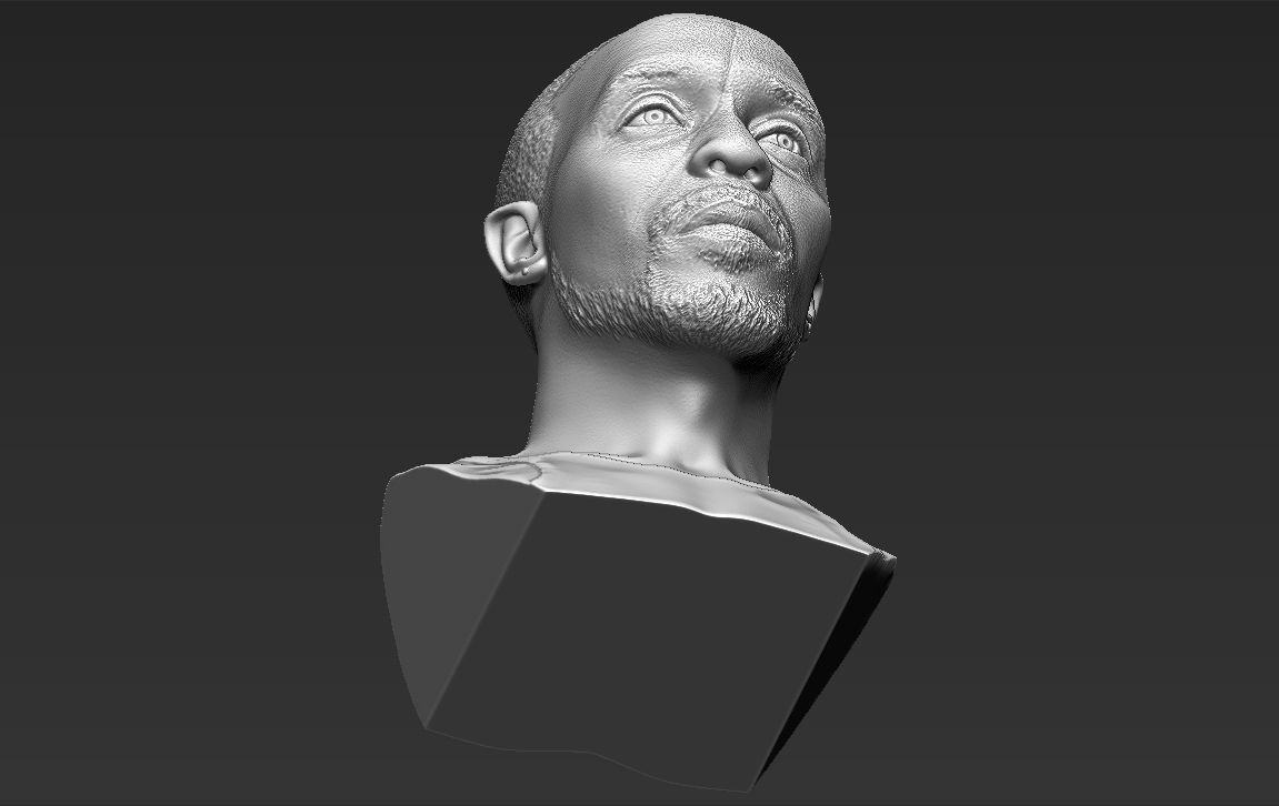 Omar Little from The Wire bust 3D printing ready stl obj formats 3D print model_25