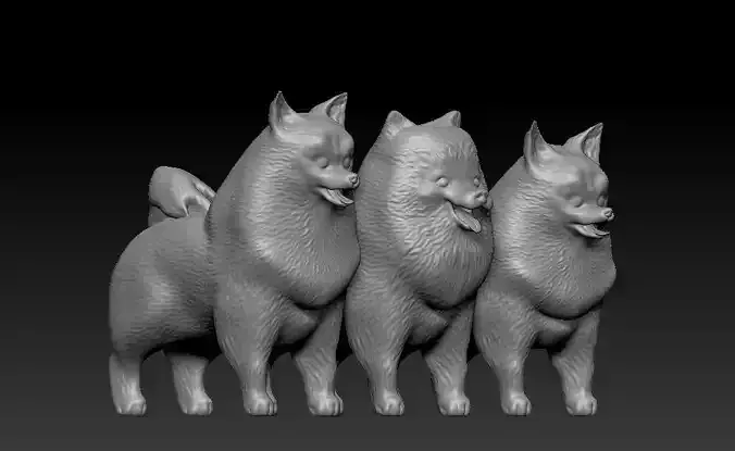 Pomeranian Spitz Dogs 3 Versions - 3D Printable  3D print model