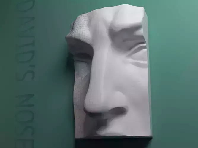 Nose of the David - gypsum statur 3D model