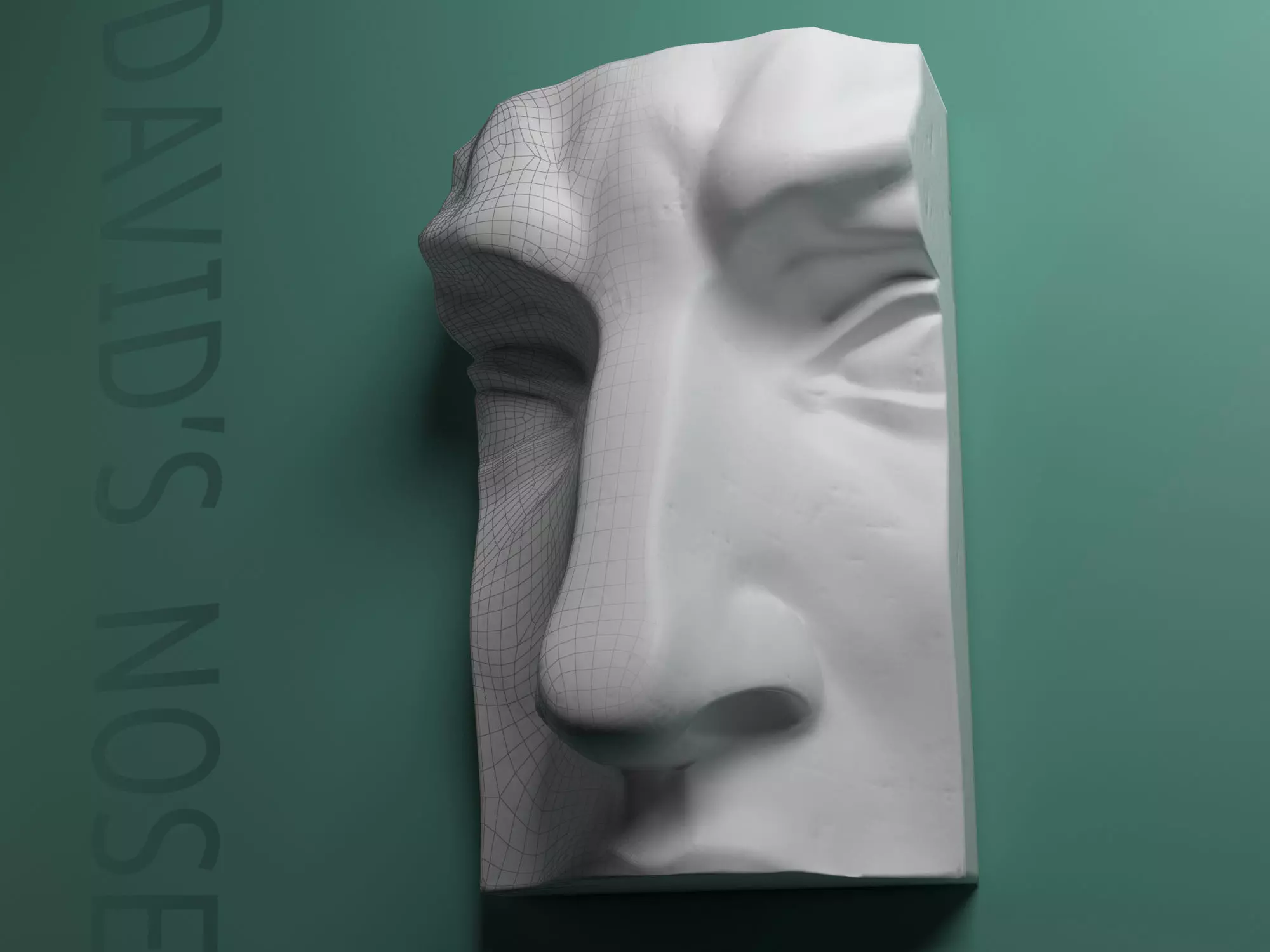 Nose of the David - gypsum statur 3D model_0