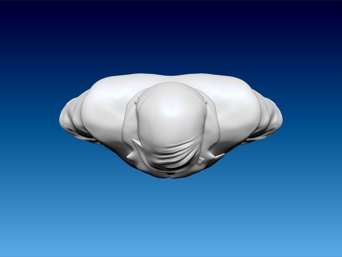 Wall Might All Might Trump 3D print model_7