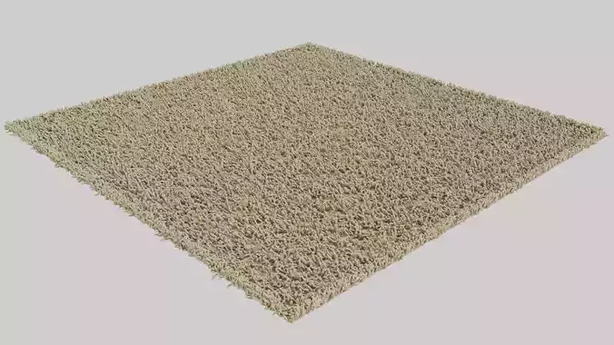 Carpet Ikea Hampen Rug