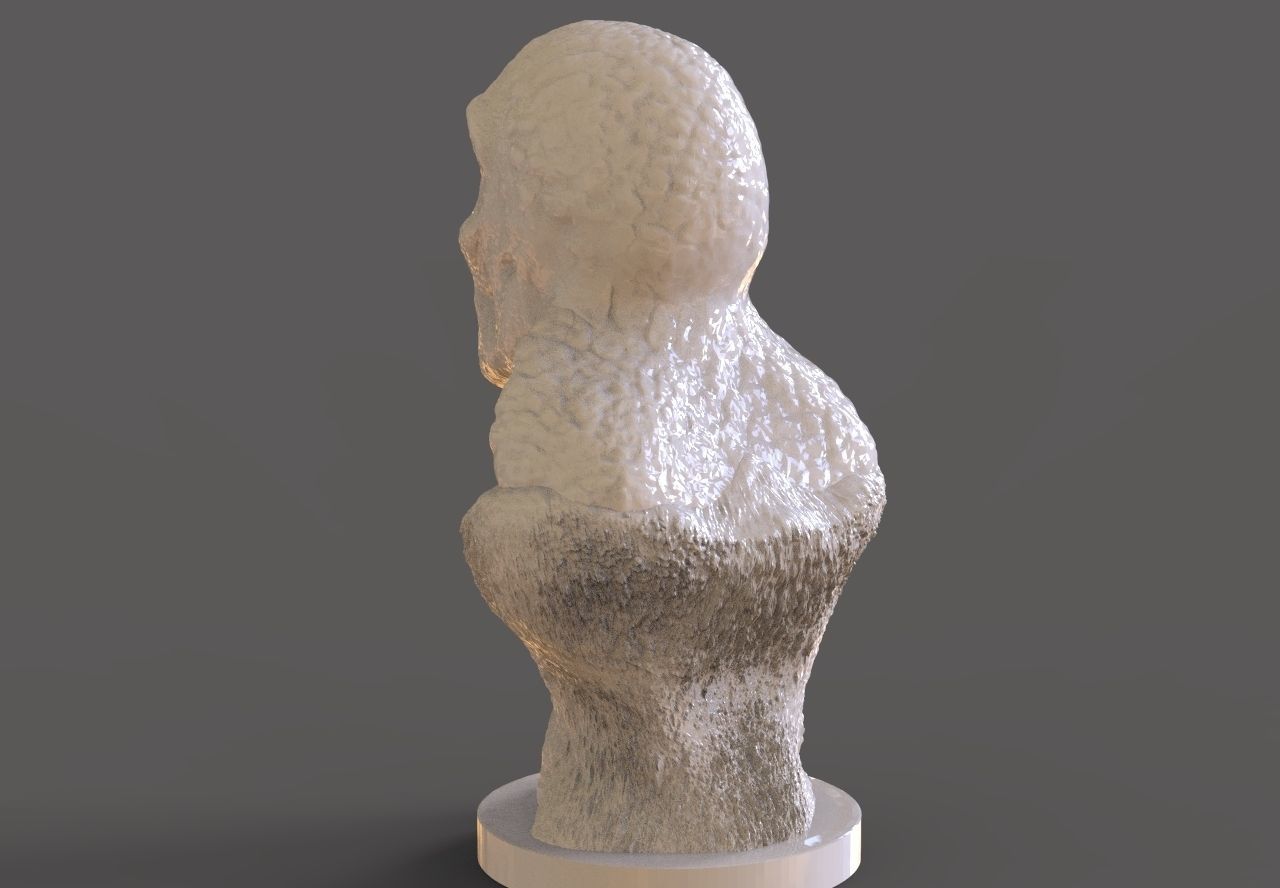 Locust Drone Bust 3D print model_4