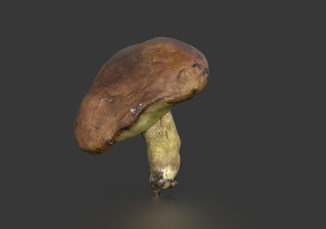 MUSHROOM 5 Low-poly 3D model_2