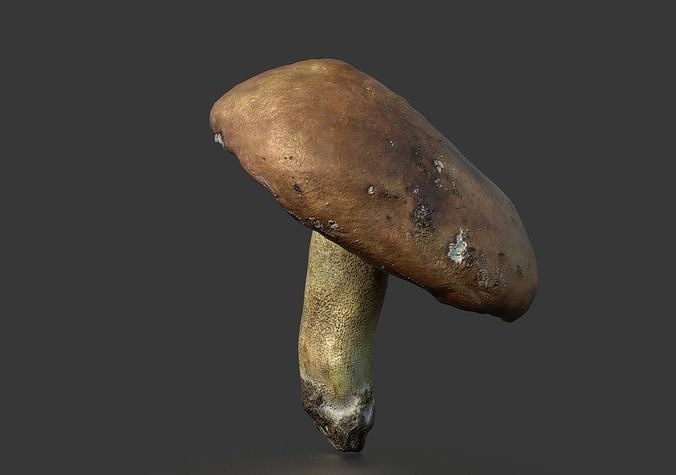 MUSHROOM 5 Low-poly 3D model