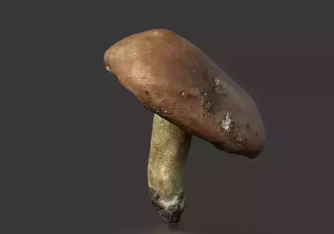 MUSHROOM 5 Low-poly 3D model