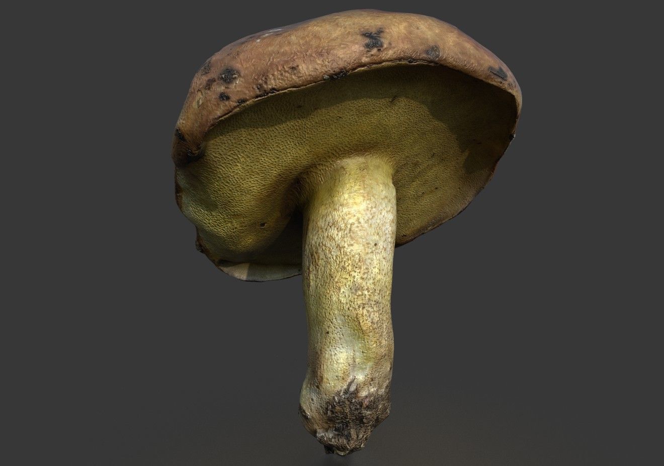 MUSHROOM 5 Low-poly 3D model_3