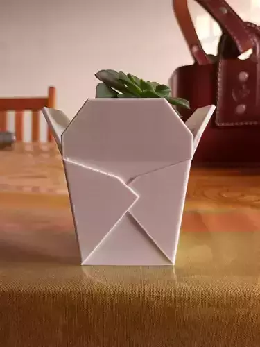 CHINESE TAKEOUT BOX SUCCULENT PLANTER 3D print model