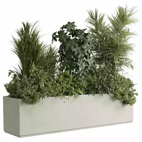 concrete box plants on stand - set indoor plant 445 