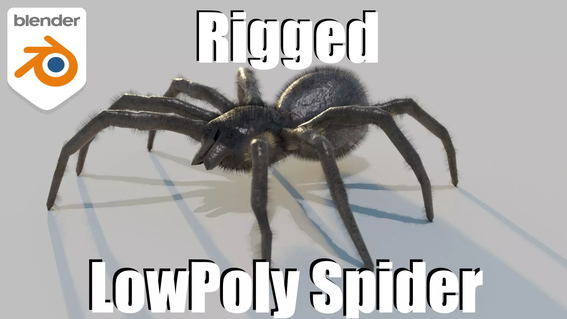 Low-Poly Spider RIGGED Free low-poly 3D model_0