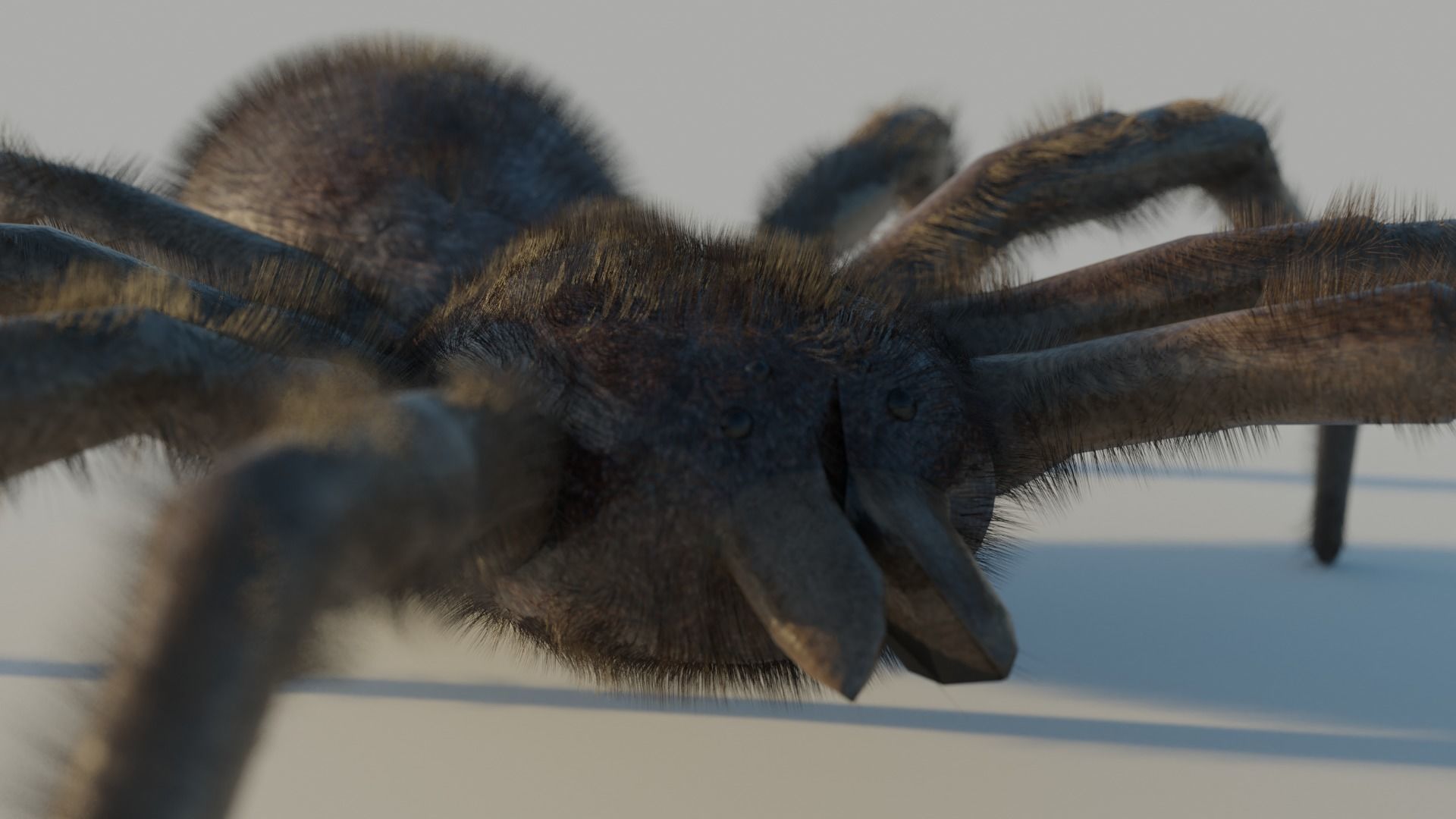Low-Poly Spider RIGGED Free low-poly 3D model_4