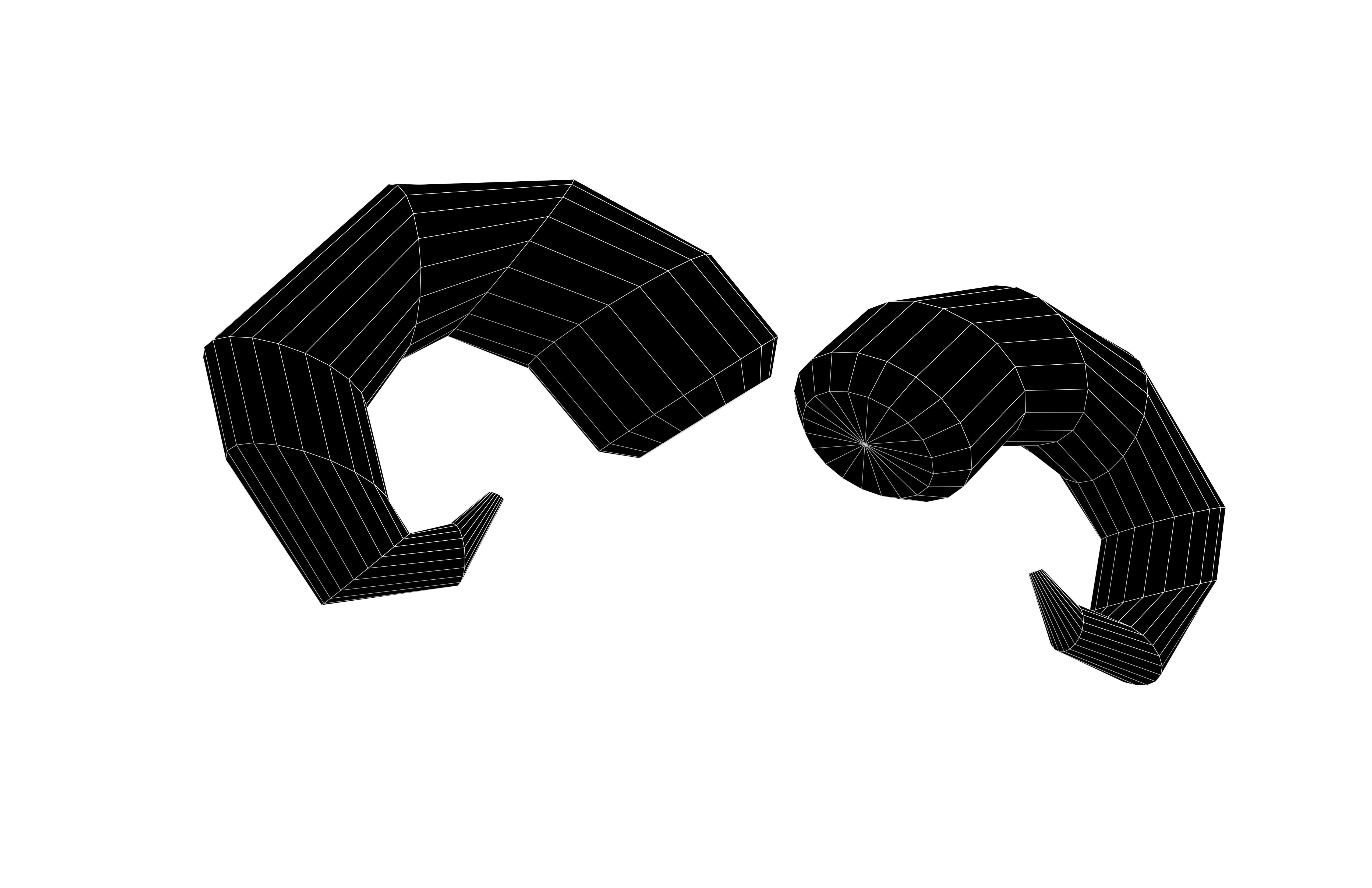 Goat Horn v1 006 Low-poly 3D model_7